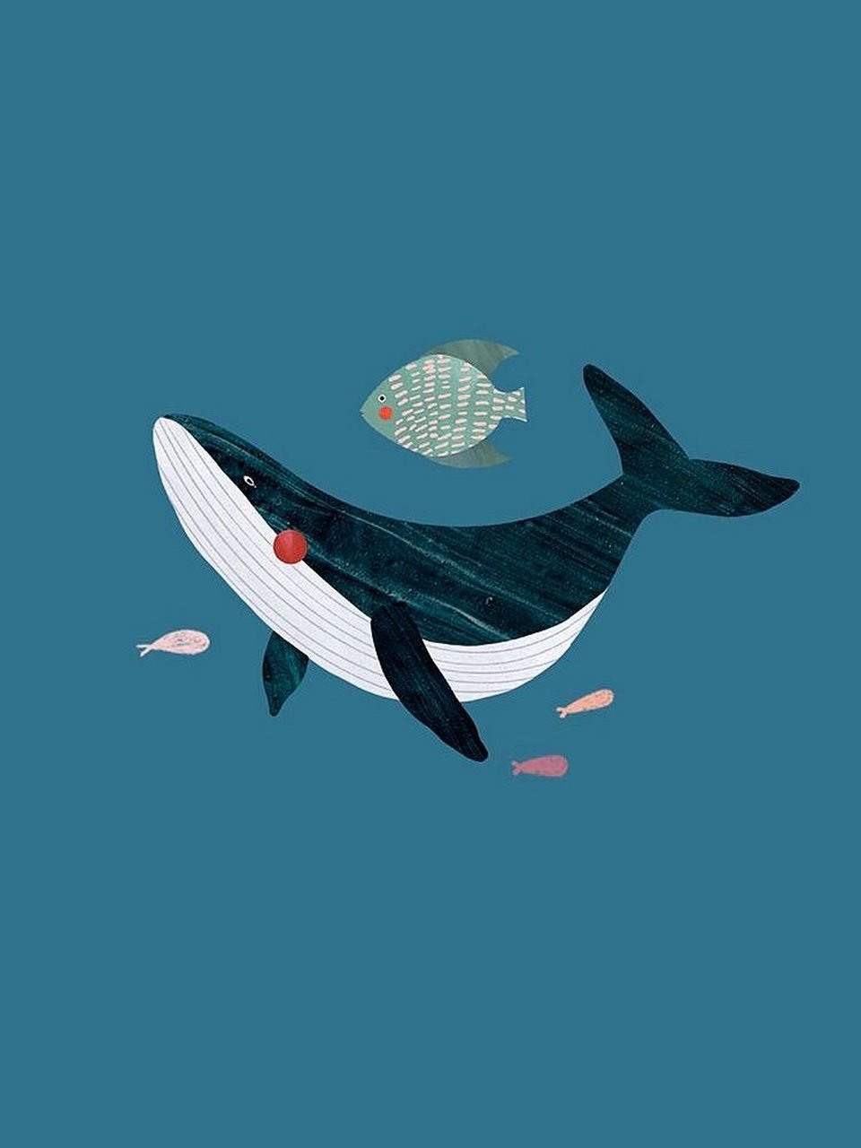 鲲插画 | 鲸鱼插画