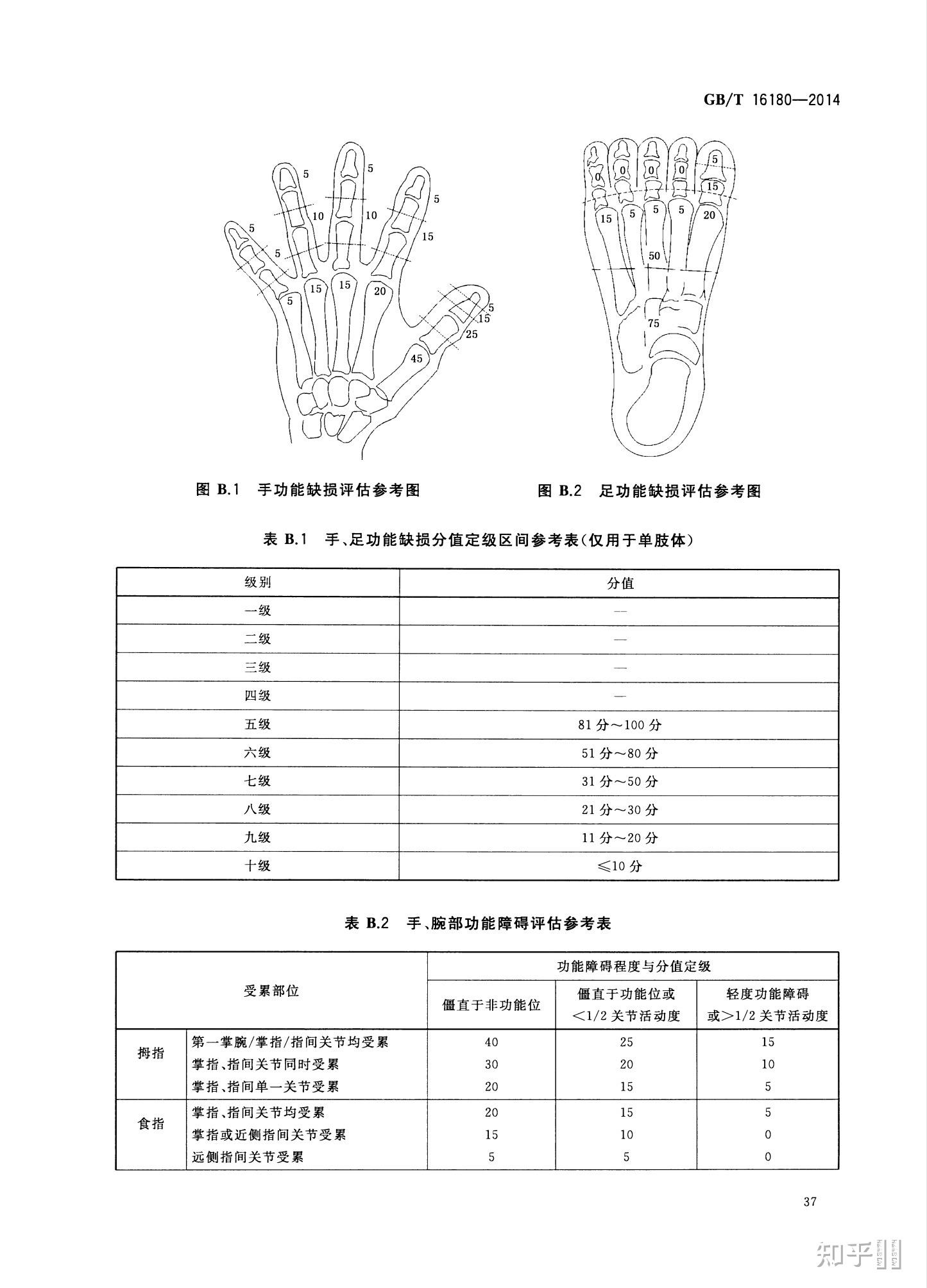 左手手指评残标准图图片