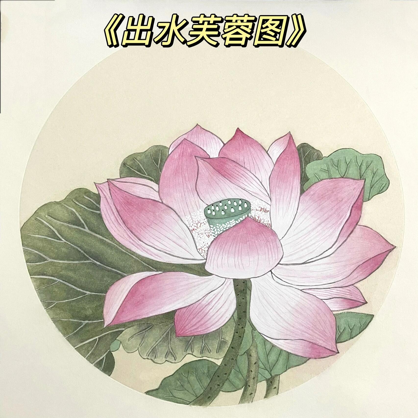 工笔画16615 《出水芙蓉图》03 《出水芙蓉图》 出淤泥而不染
