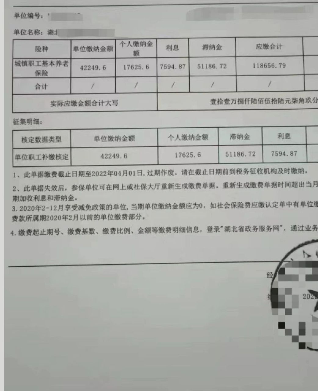 社保单子图片图片