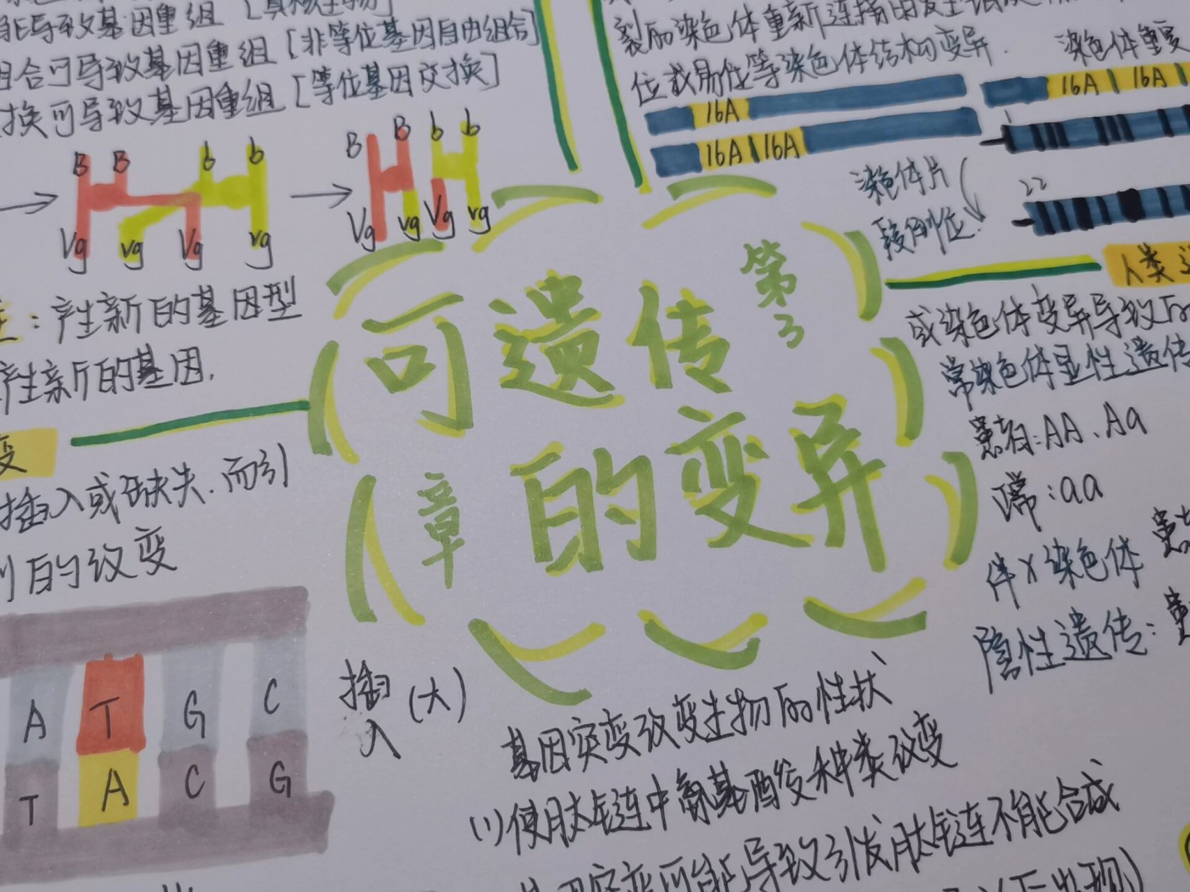 生物必修二可遗传变异思维导图 我很喜欢的一章思维导图,主要是我觉得