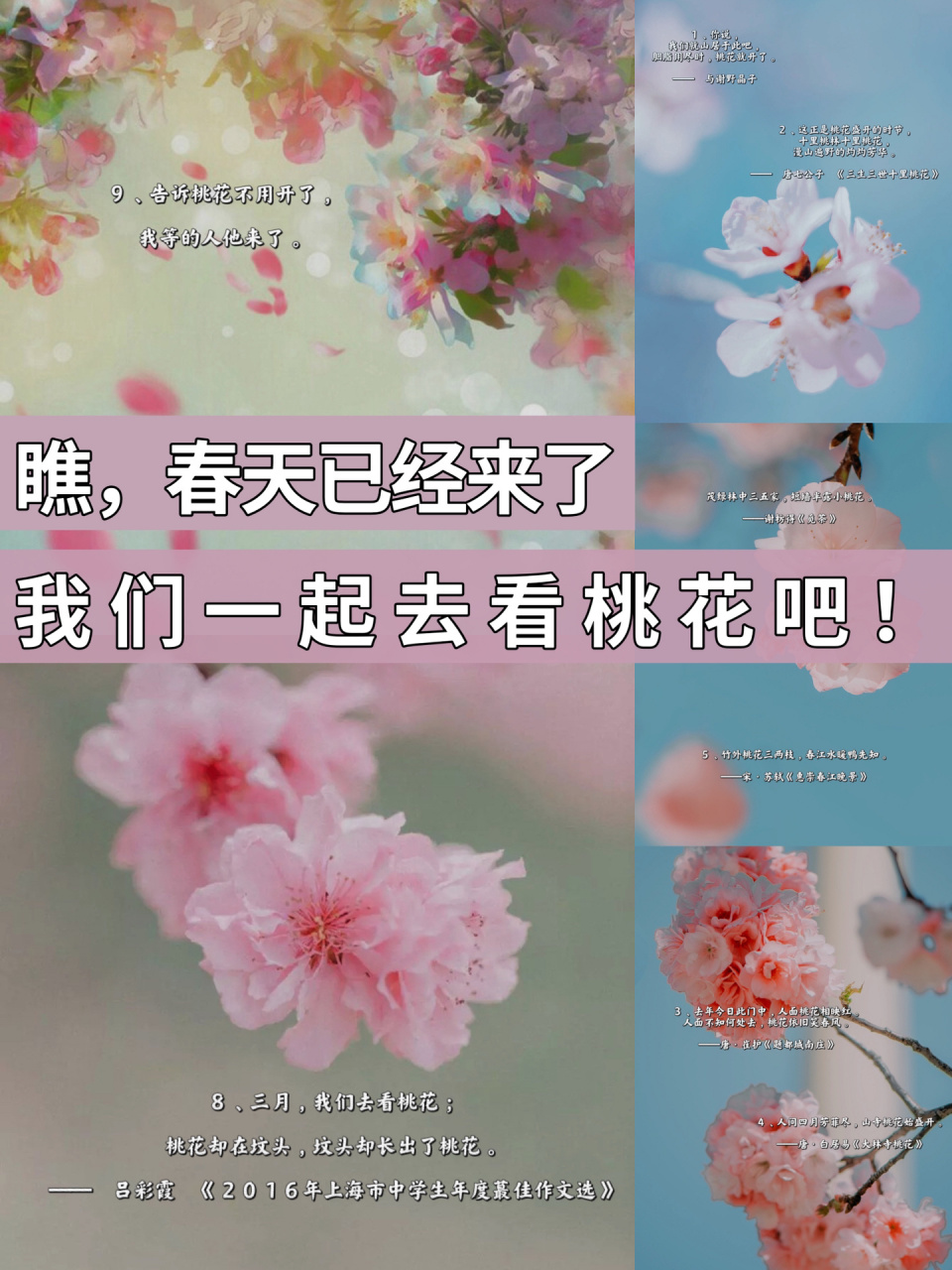 关于桃花的文案句子  "桃之夭夭,灼灼其华"   94 1,你说,我们就山居