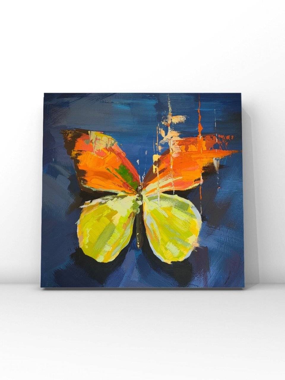 水粉画◎蝴蝶2 水粉画/油画临摹 扑扇扑扇大蝴蝶 收藏夹还有其它小