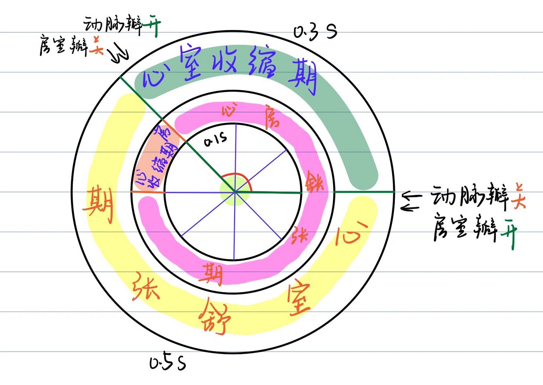 一个完整的心动周期图图片