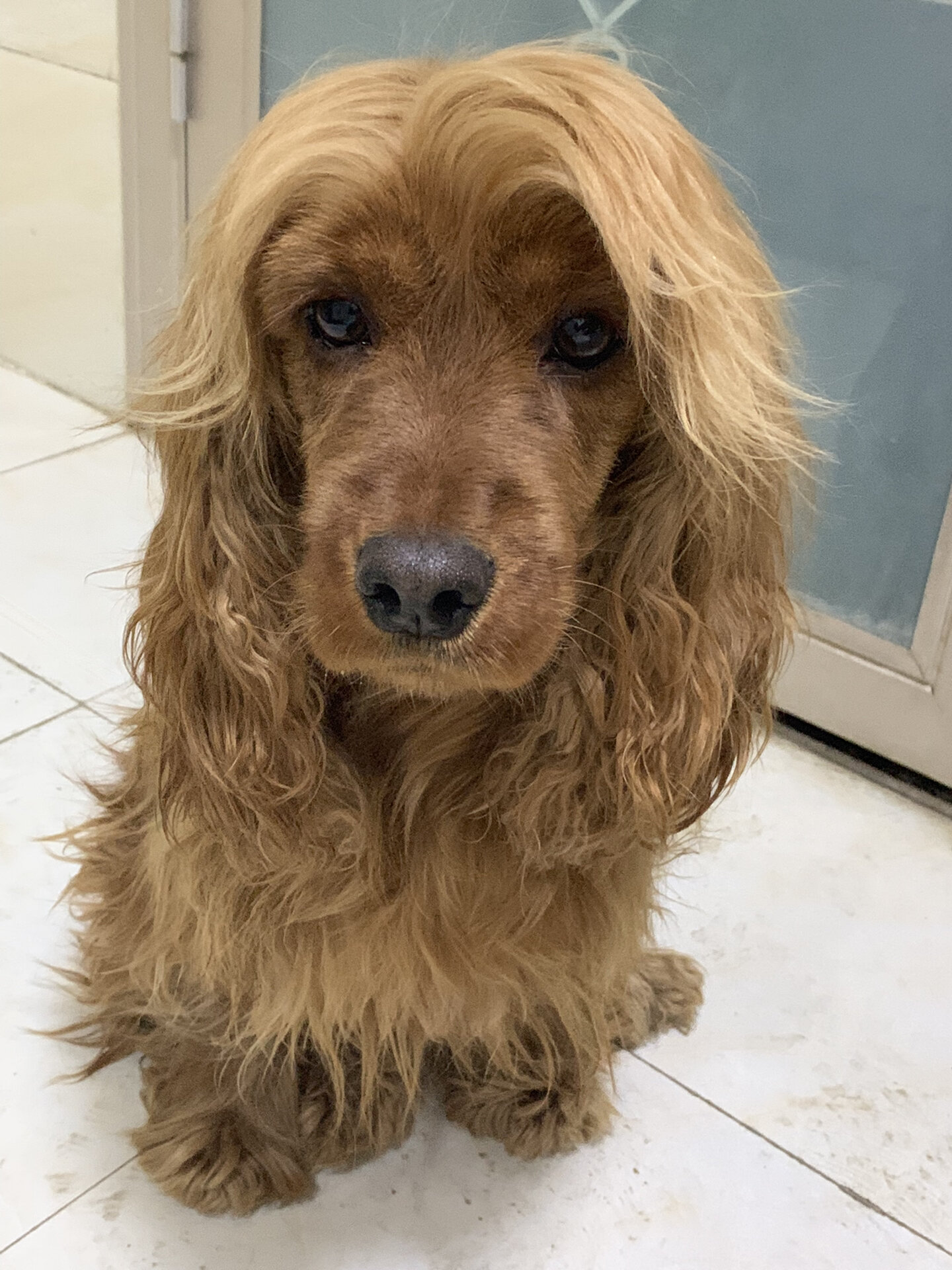 英卡长得没有美卡甜美?