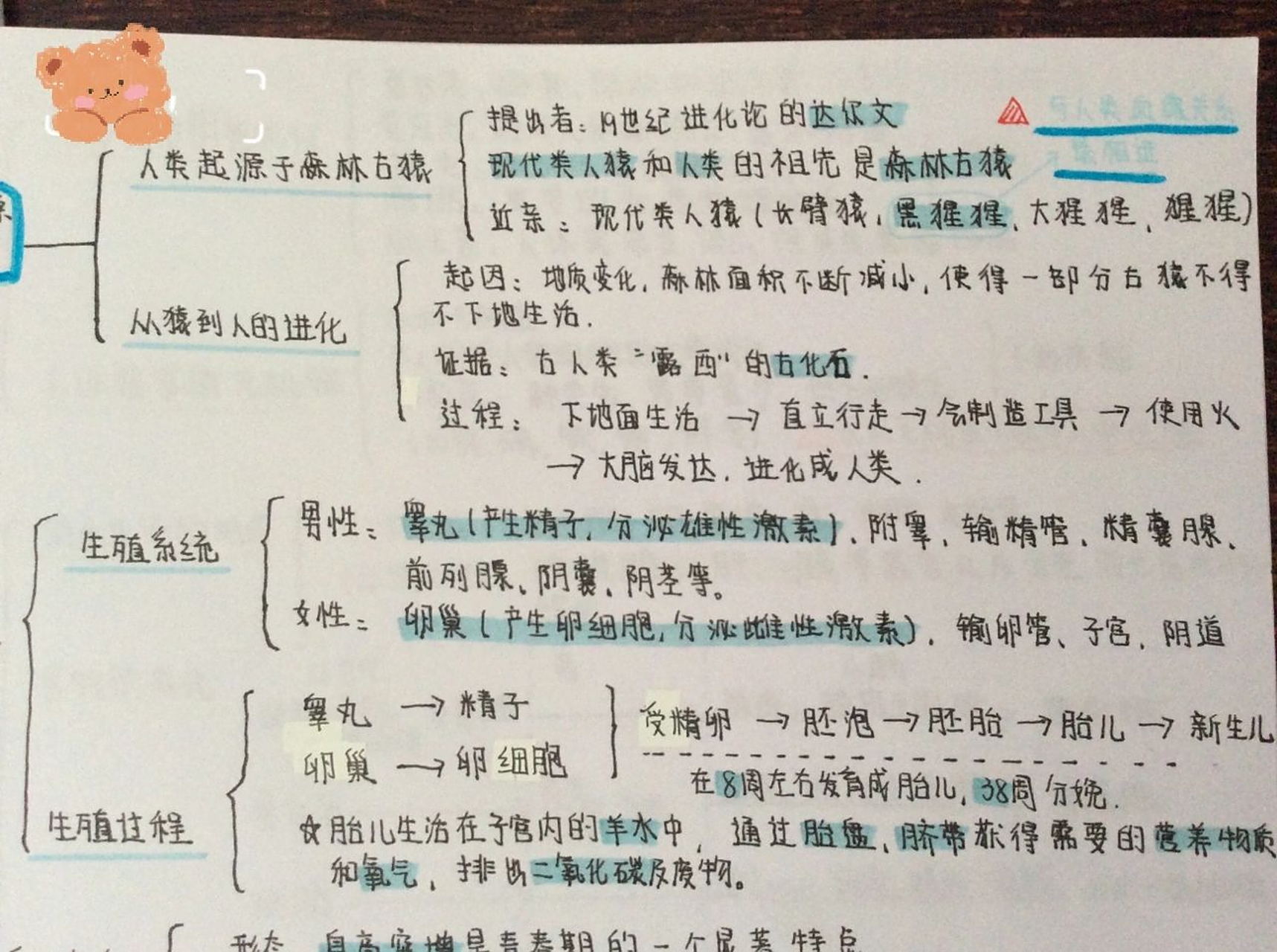 七下91生物思维导图94分享 七年级下册生物第一单元思维导图90