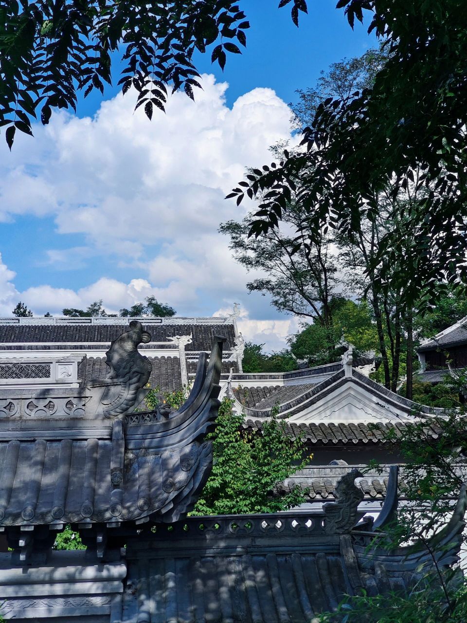 贵阳鹿冲关森林公园 0823又去了鹿冲关森林公园