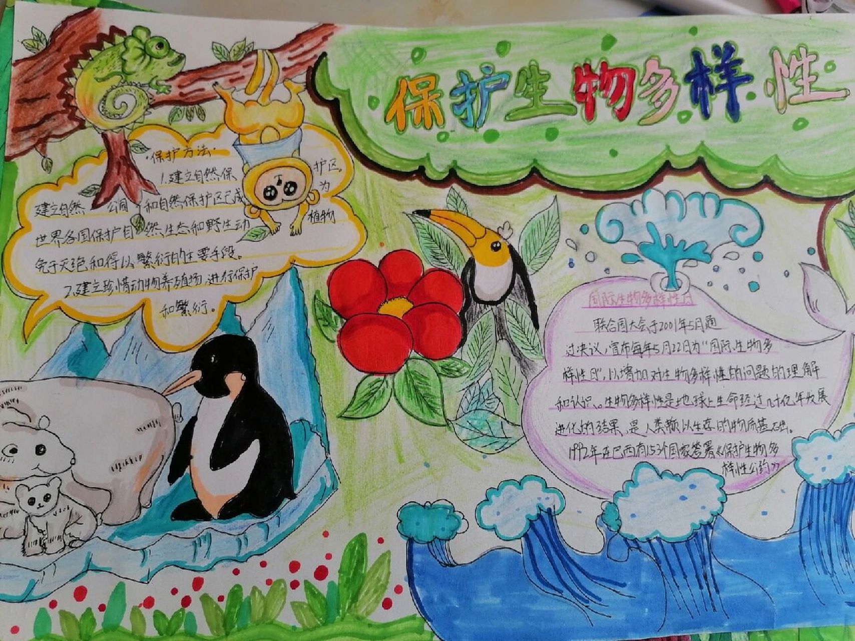 保护生物多样性手抄报