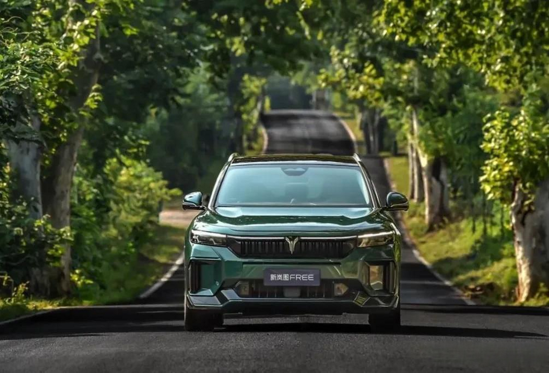 8月19日,岚图汽车将在武汉举办2023岚图用户之夜,并且同步上市新岚图