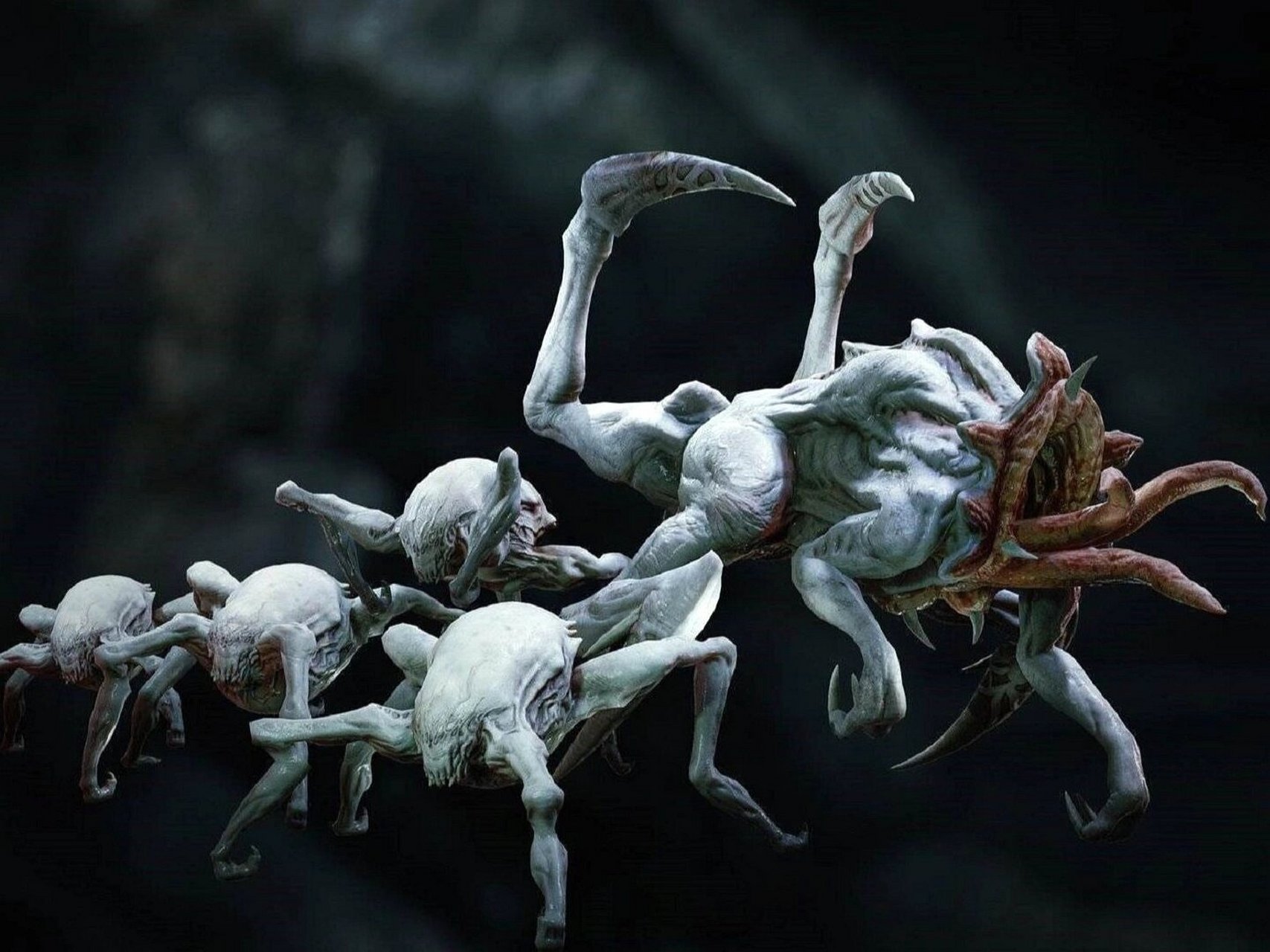 收集整理了一些不常见的"异形变体" ① 白化异形 相