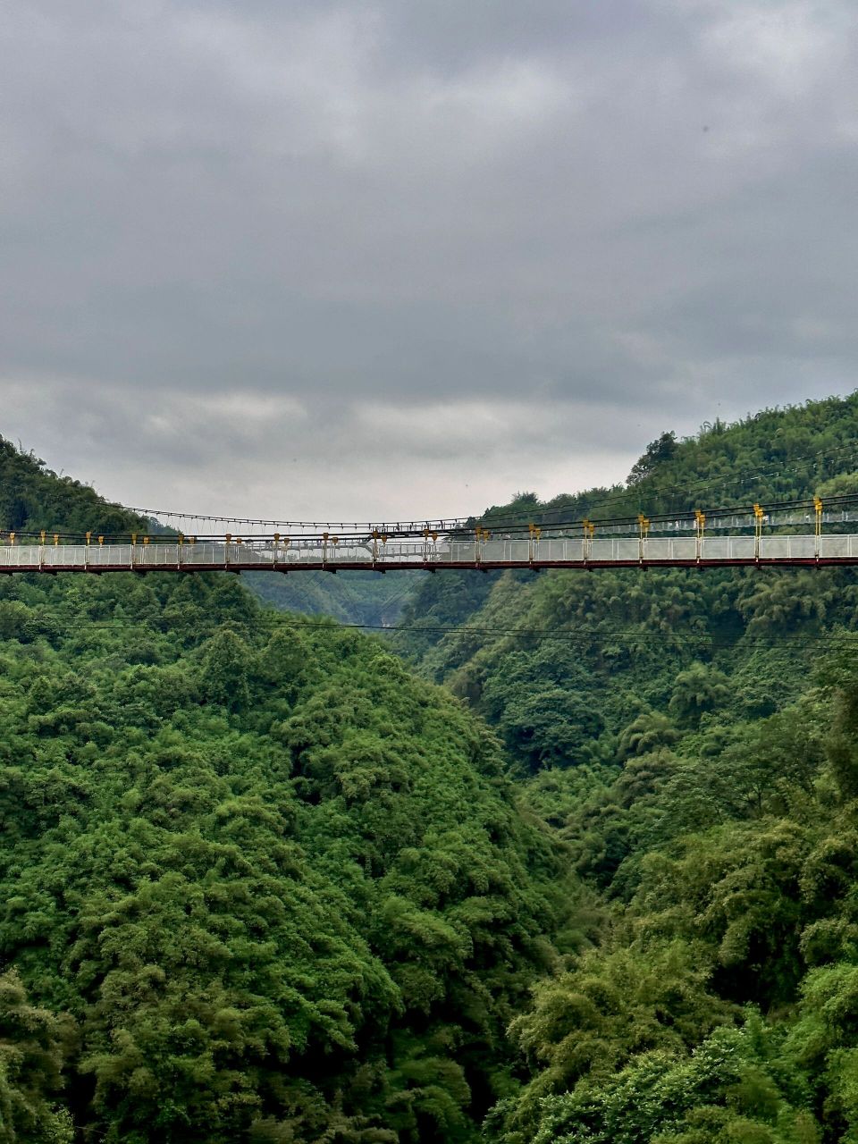 邛崃川西竹海景区电话图片