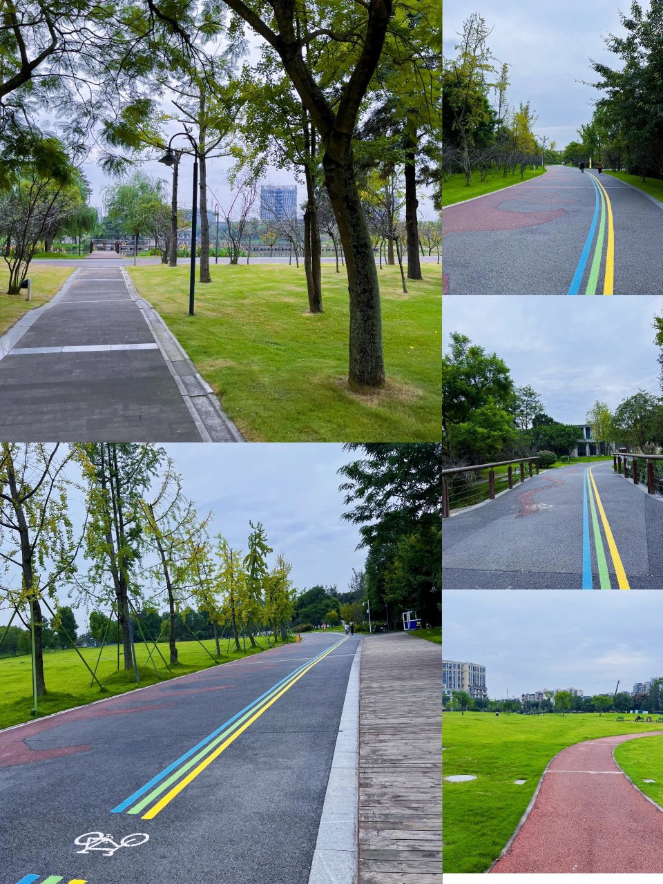 99:凤翔湖市政森林公园 99: 双流区-银河路三段与航鹰西路交汇处