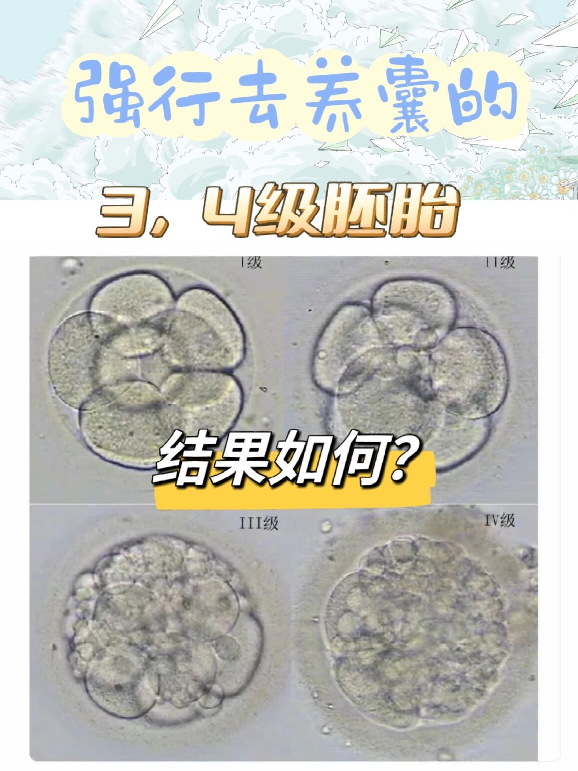 第3天的34级胚胎拿去养囊结果会如何?