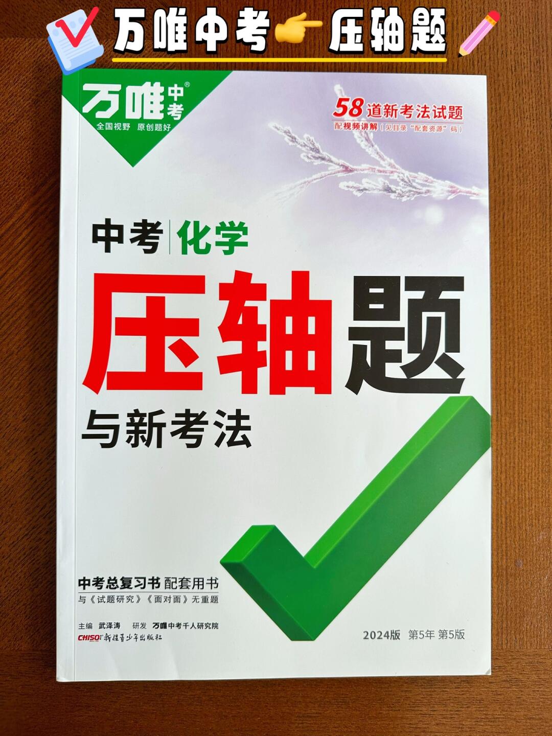 中考复习系列