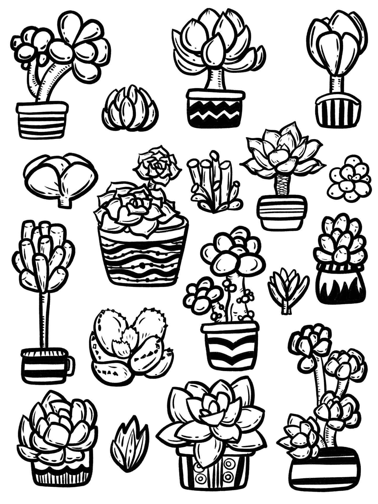 盆栽花00多肉简笔画17