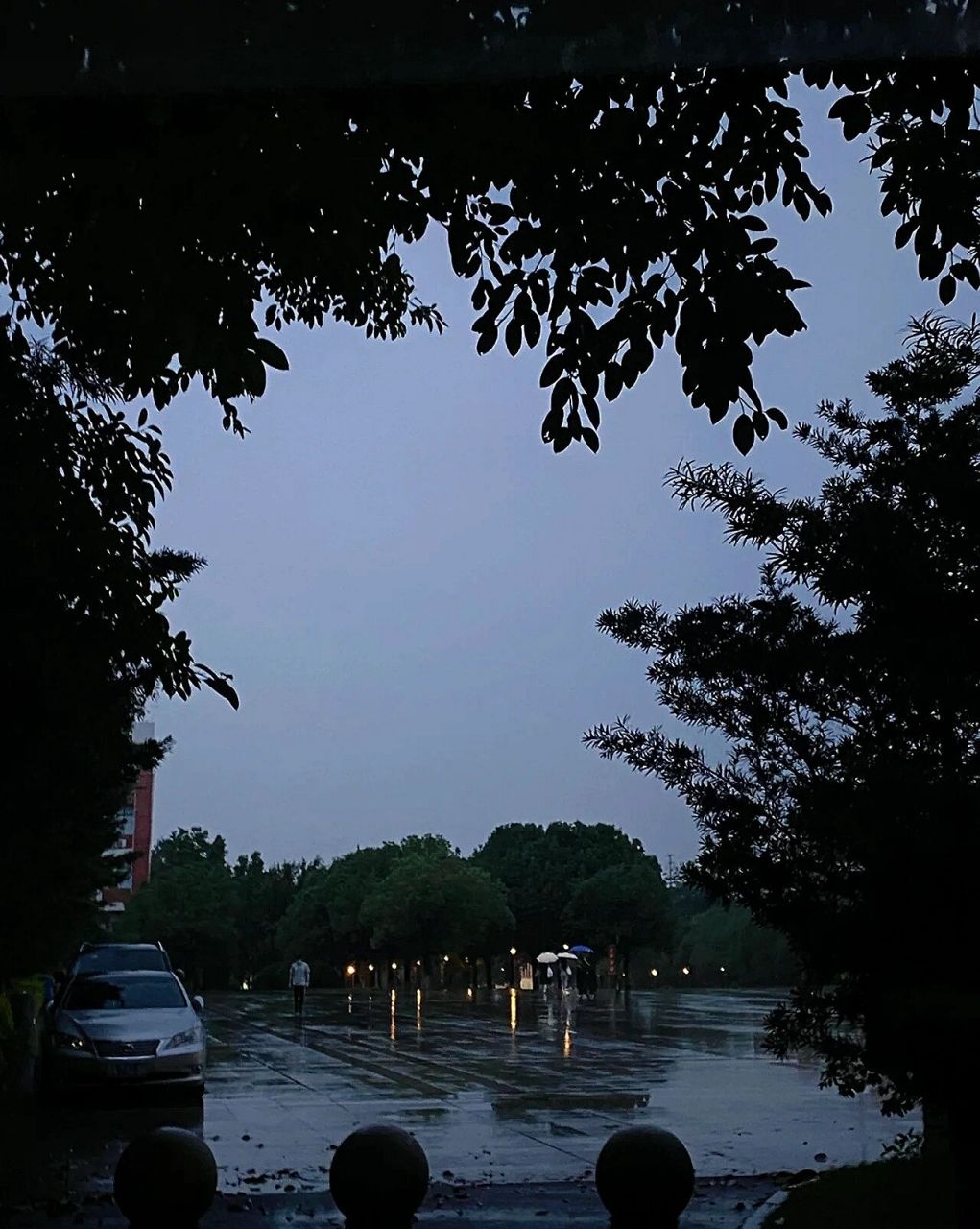 下雨天的图片可爱真实图片