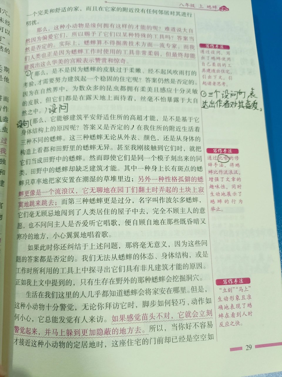 时代广场的蟋蟀主要内容(时代广场的蟋蟀故事主要内容)