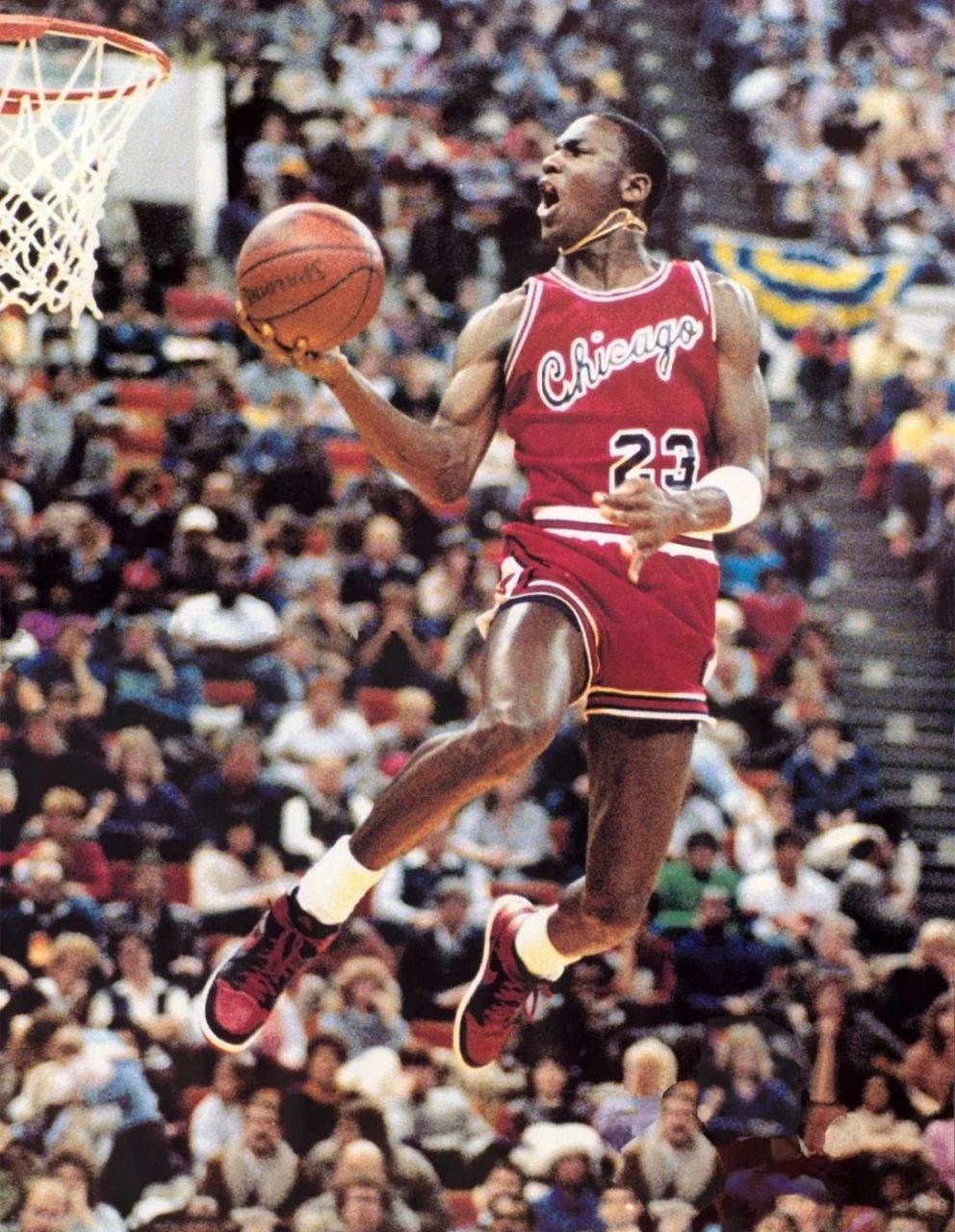 篮球之神—迈克尔·乔丹超超超高清壁纸头像 91