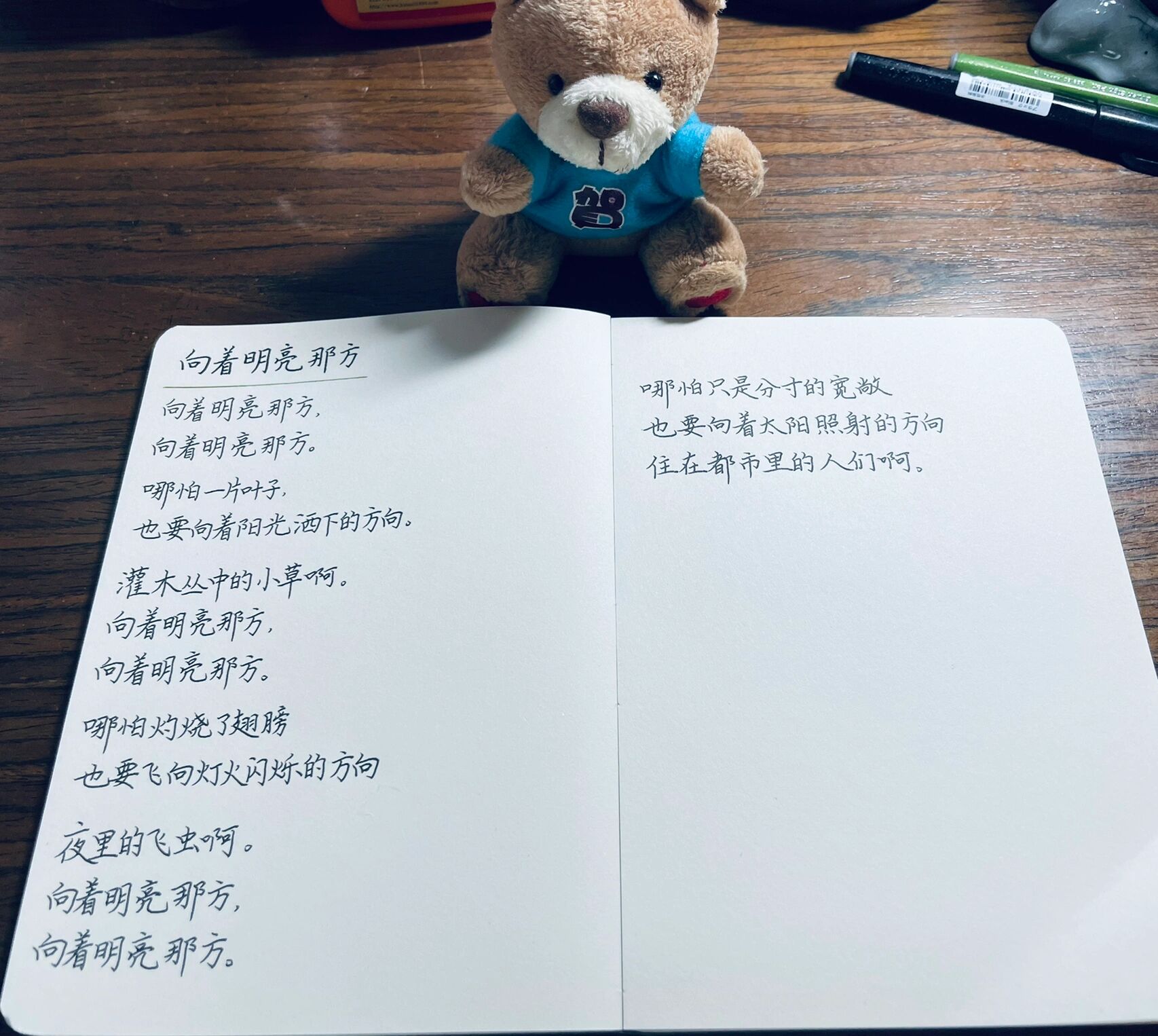 金子美玲的诗——《向着明亮那方》 金子美玲,日本天才女诗人,一生