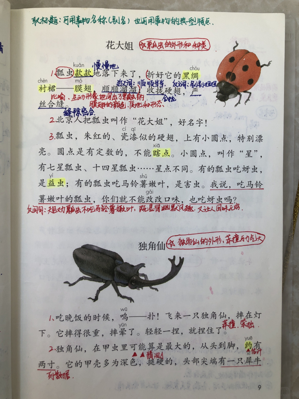 三年级下册语文 第4课《昆虫备忘录》笔记分享