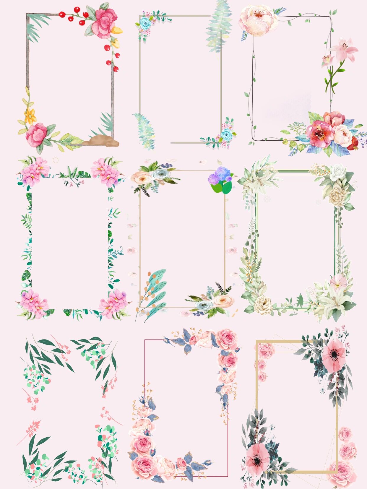 清新🌿森系花卉花朵鲜花边框png免扣素材