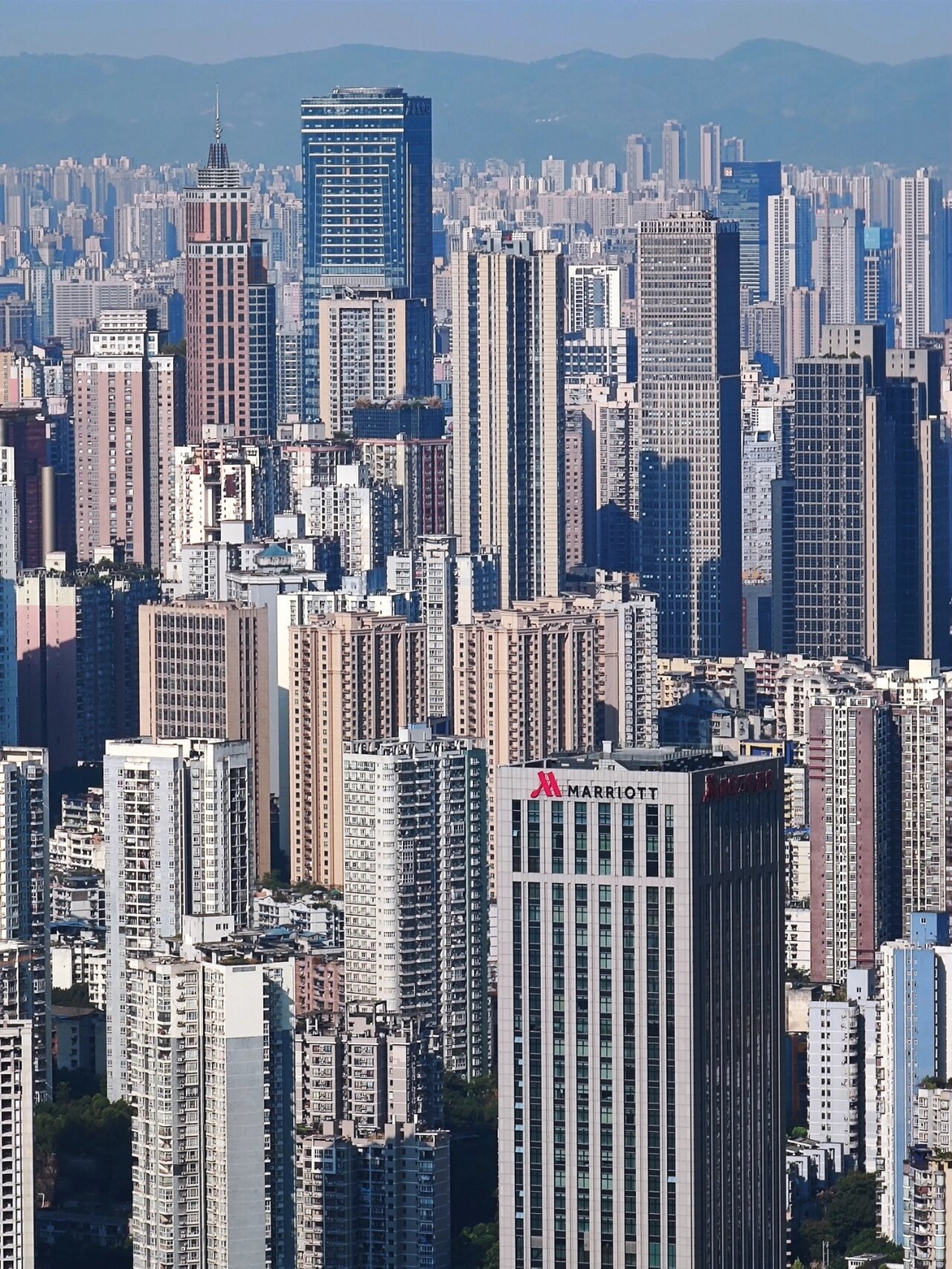 钢筋混凝土森林城市