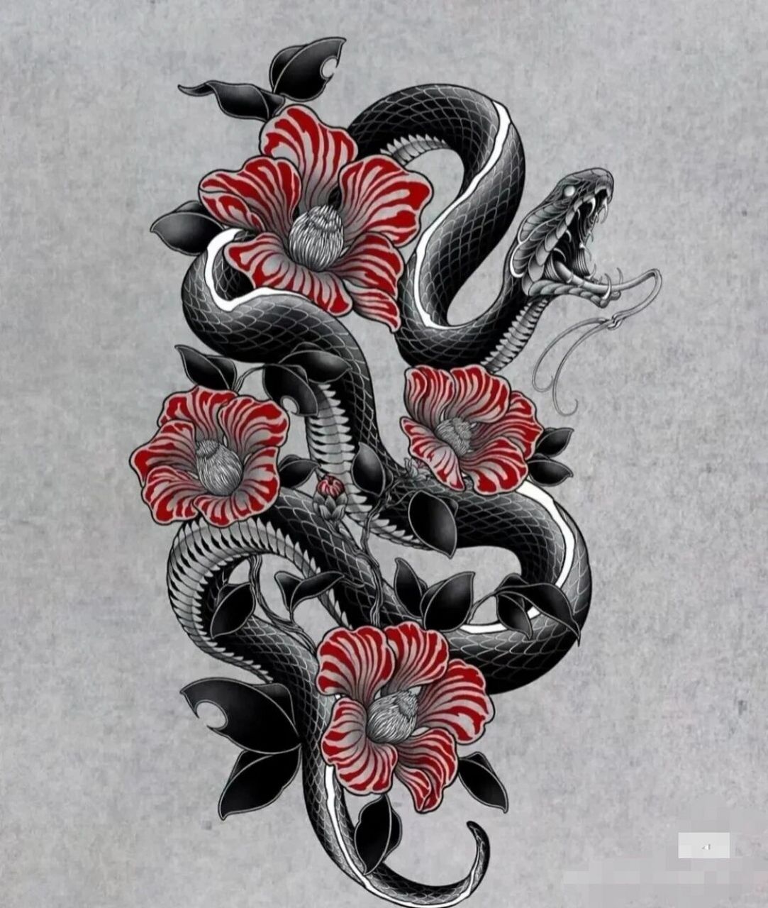 蛇纹身手稿 线条图片