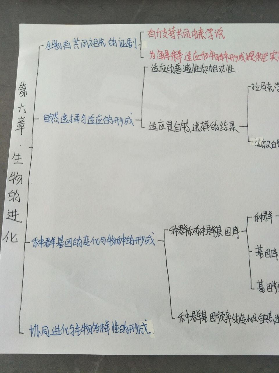 必修二【生物的进化】思维导图