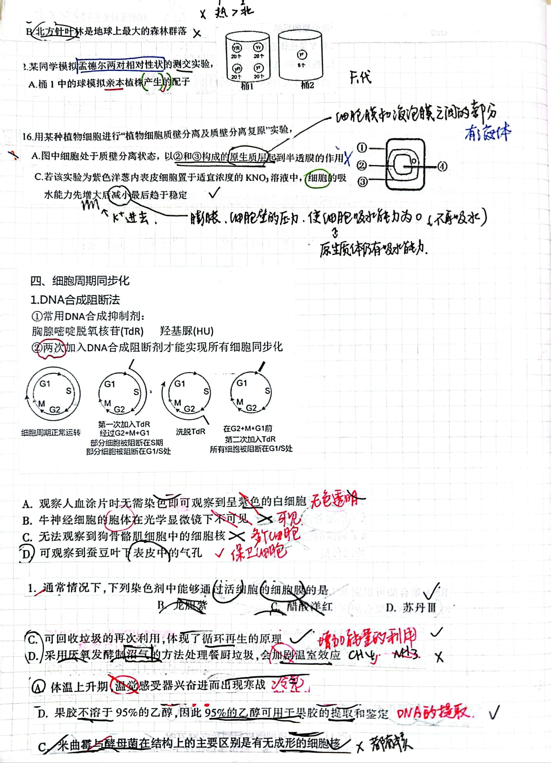 生物98|纠错本的正确使用方法21566 98新来的朋友们注意75