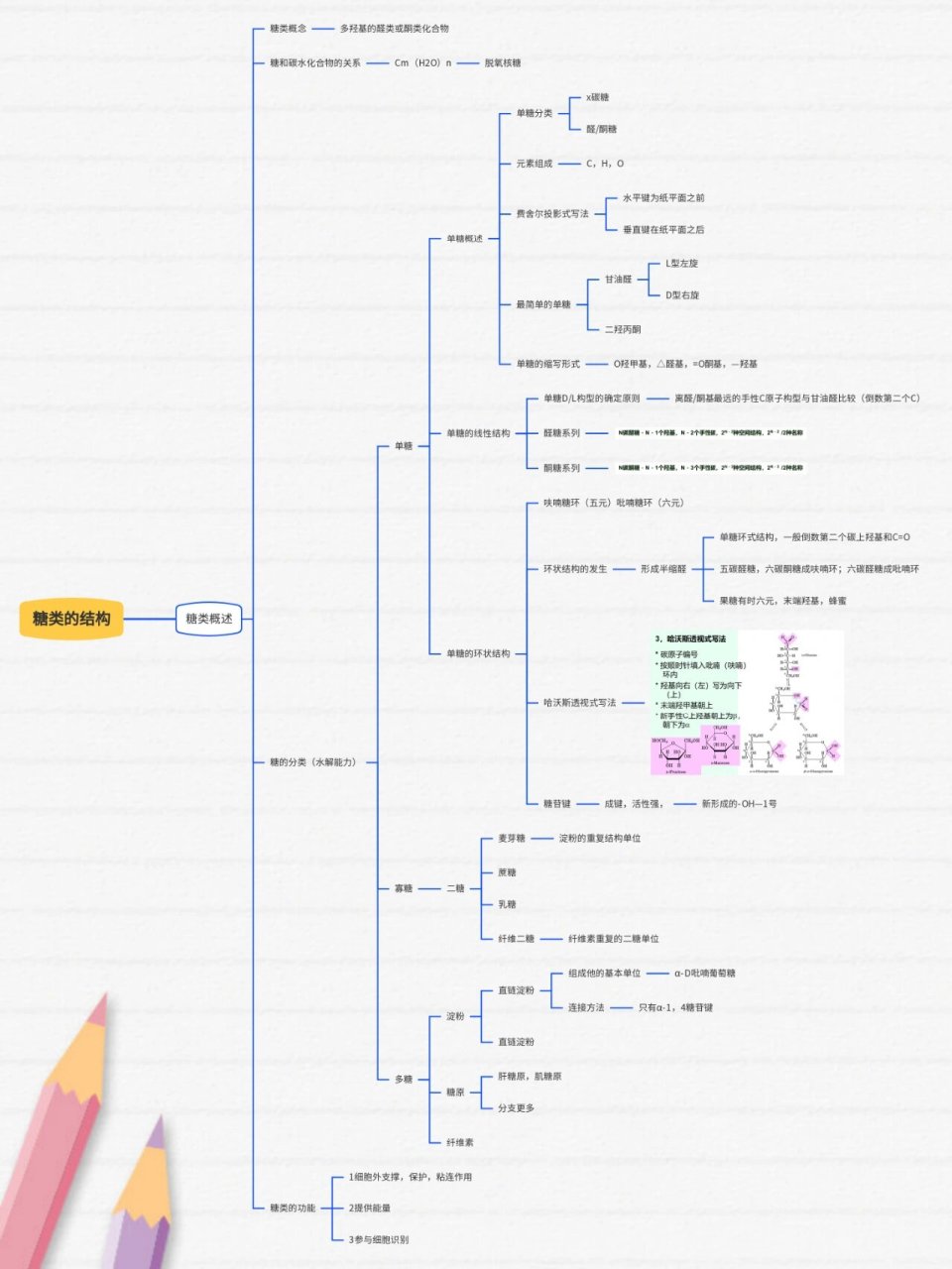 糖类的思维导图图片