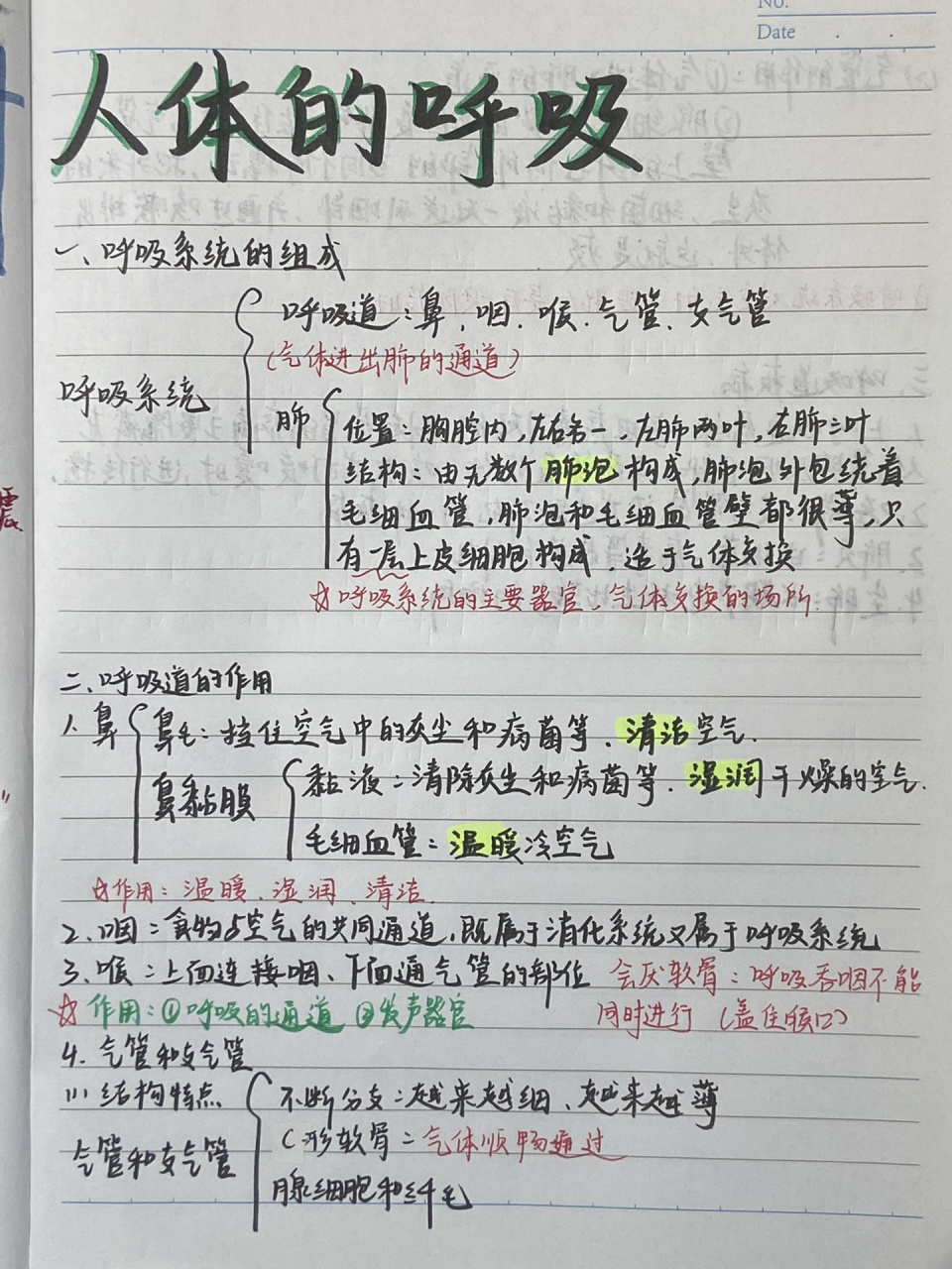 七下生物|人体的呼吸|呼吸系统的组成 非原创