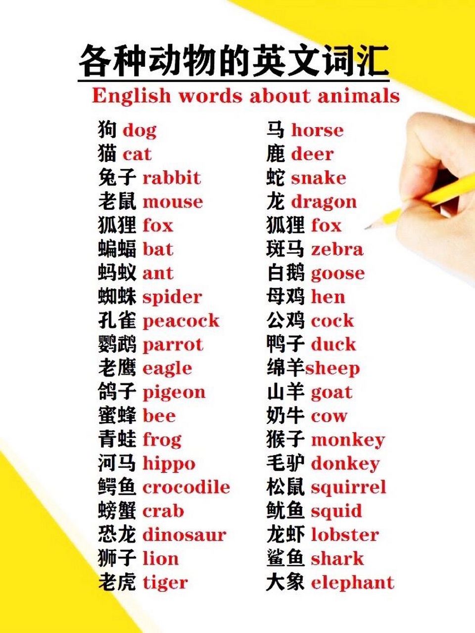 各种动物的英文单词 各种实用,时尚,热门,考试,辣妈,带娃英语资源归类