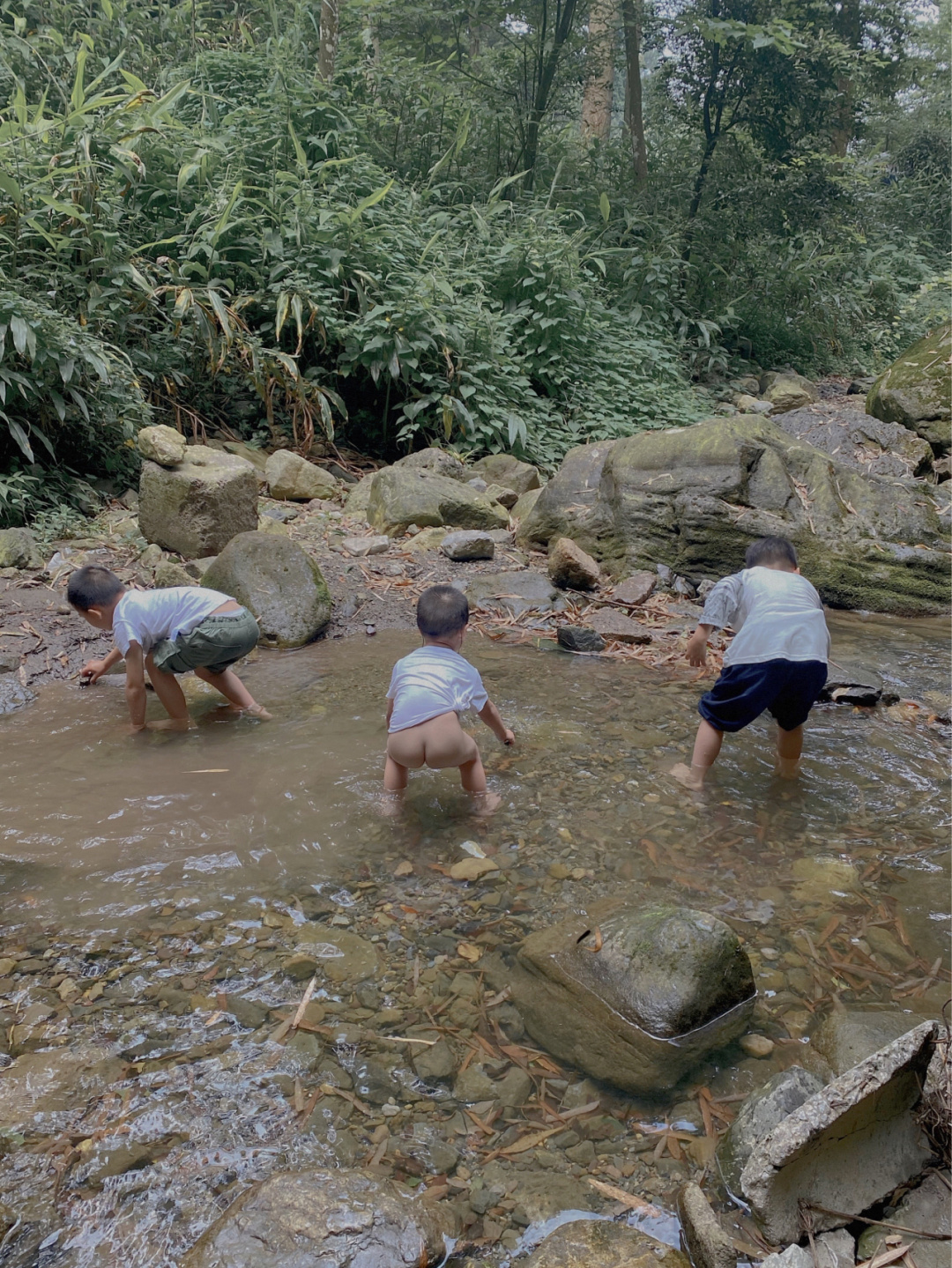童年关于夏天的美好记忆,很多都是和溪水有关的