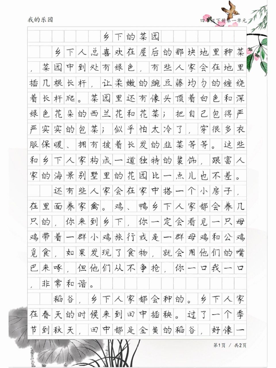 我的乐园作文菜园图片