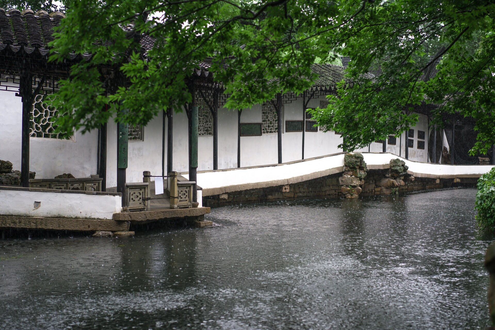 苏州园林里最具特色,也是唯一的贴水长廊7515 拙政园最具特色之一