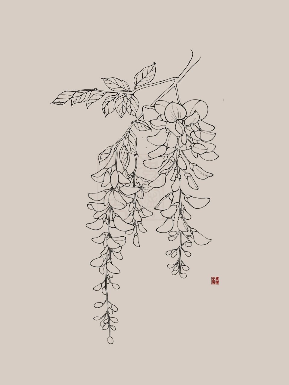 古风花卉系列之七 紫藤花 我正在跟张小白学习古风插画,学习打卡第27