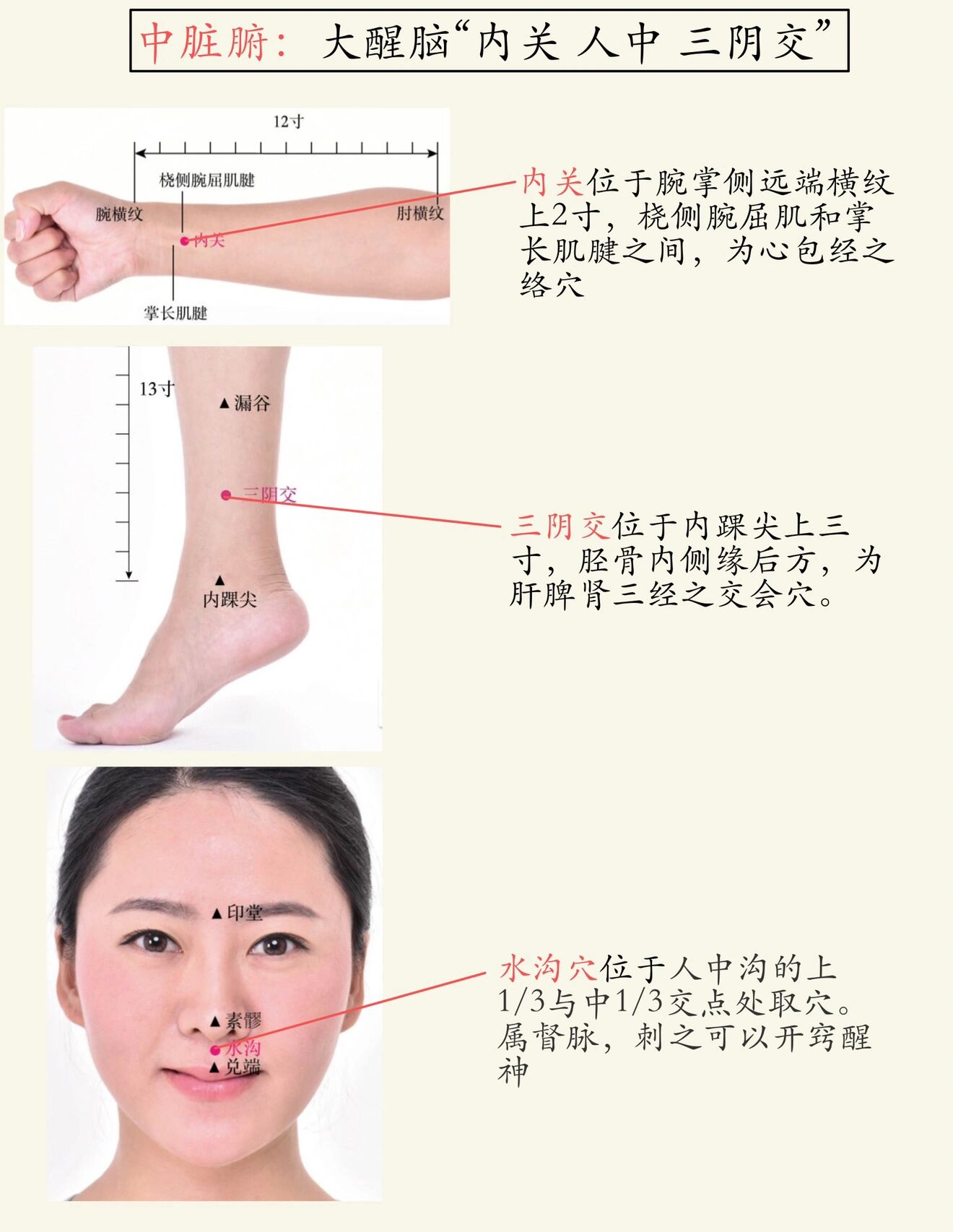 半身不遂针灸全图图片