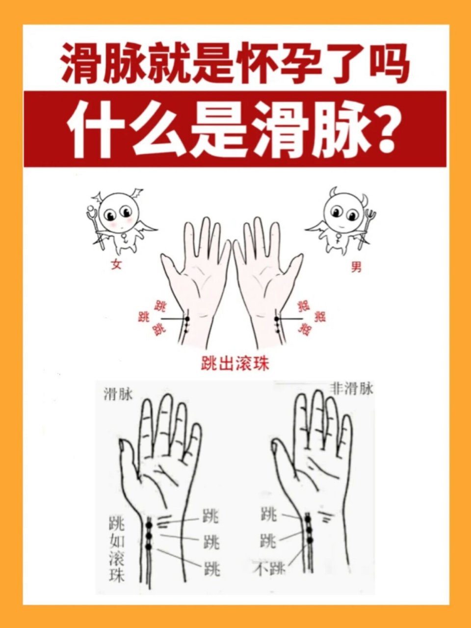 怀孕为什么一摸就知道? ●怀孕的脉象是滑脉.