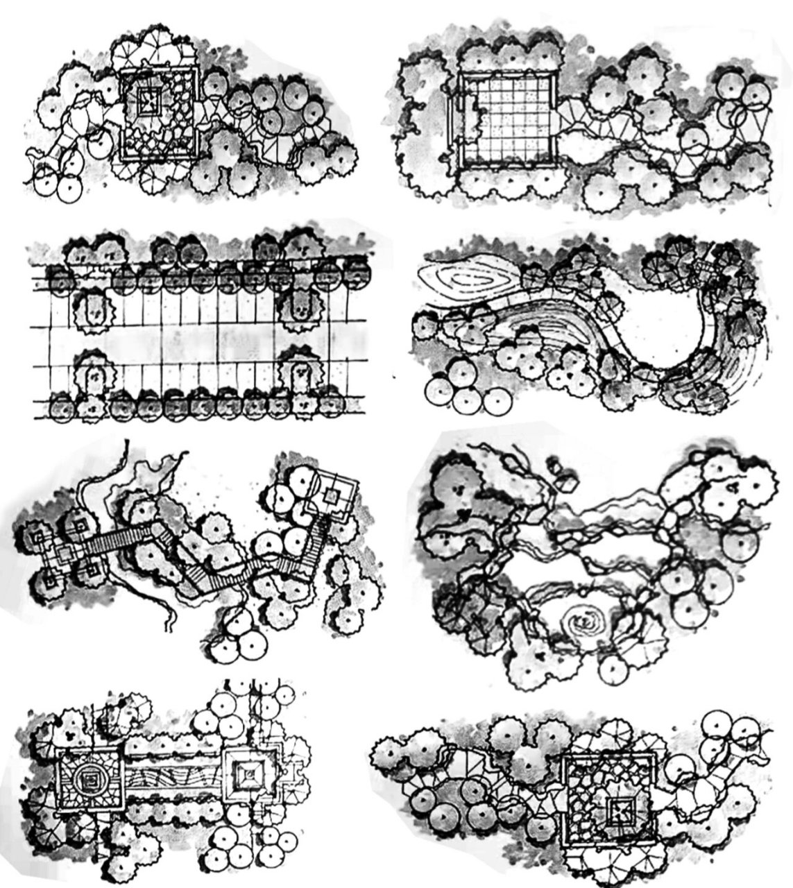 植物组团景观手绘图片