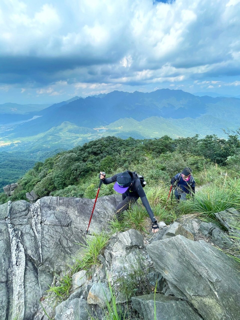 茶岩顶位于韶关曲江罗坑镇内·毗邻英德 97 山顶长满野茶树而出名