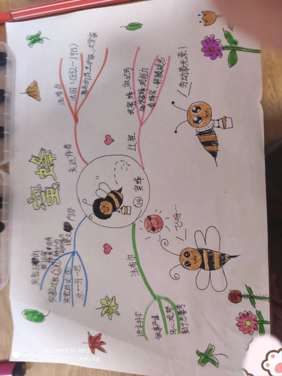三年级下册语文第4单元蜜蜂的思维导图 四年级下册语文第4单元蜜蜂的