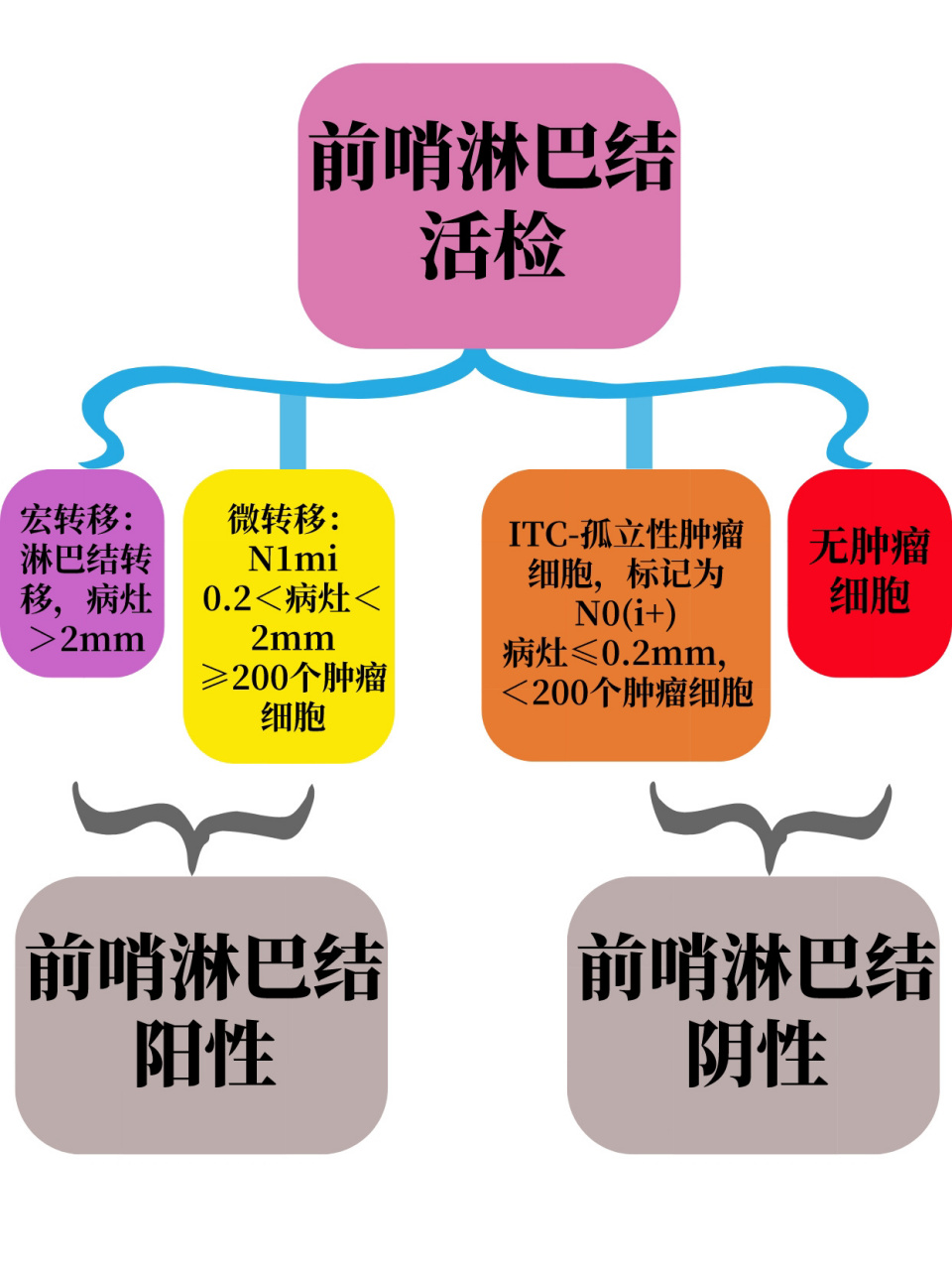 每天一个抗癌知识:前哨淋巴结病理结果解读 乳腺癌患者在腋窝清扫术后
