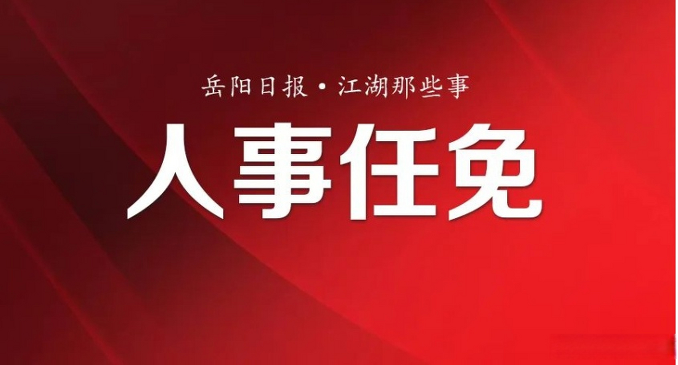 【岳阳市人民政府最新一批人事任免#岳阳头条 岳阳市人民政府