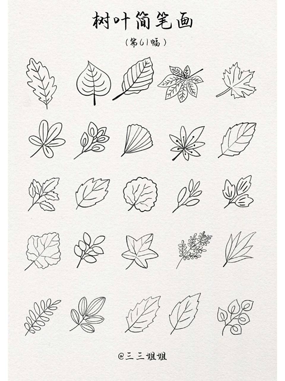 树叶简笔画|第61幅(*^ω^*) 世间没有两片一模一样的树叶 就像每个人
