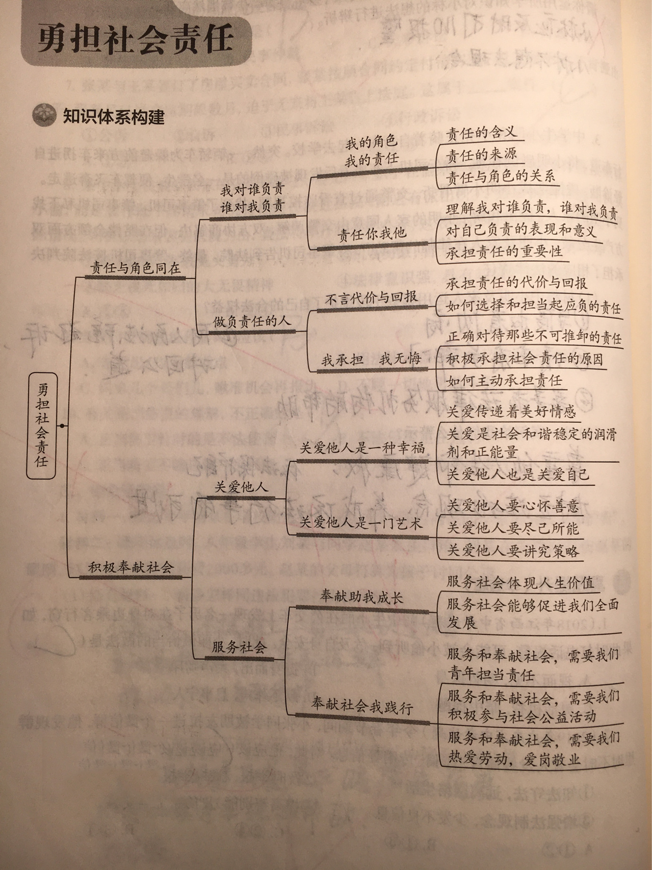 八上思维导图