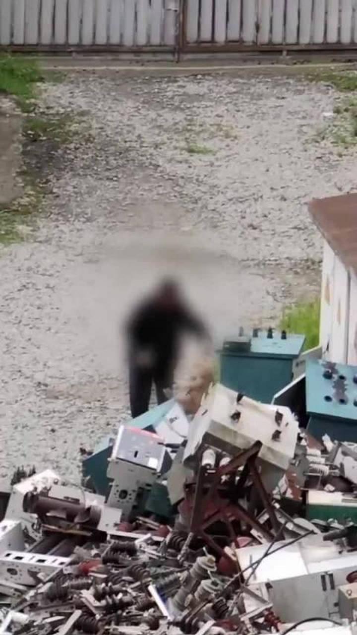 狗狗被保安用铁丝缠住脖子吊起不停的发出惨叫.