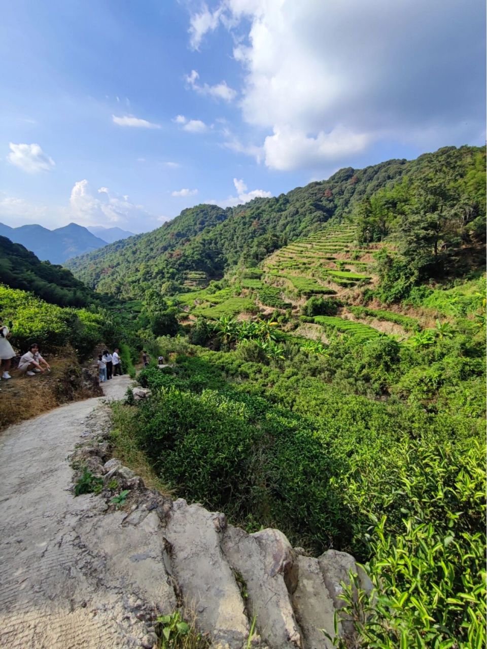 潮州周边的好去处——叫水坑原始森林 在离潮州市区20几公里的「叫