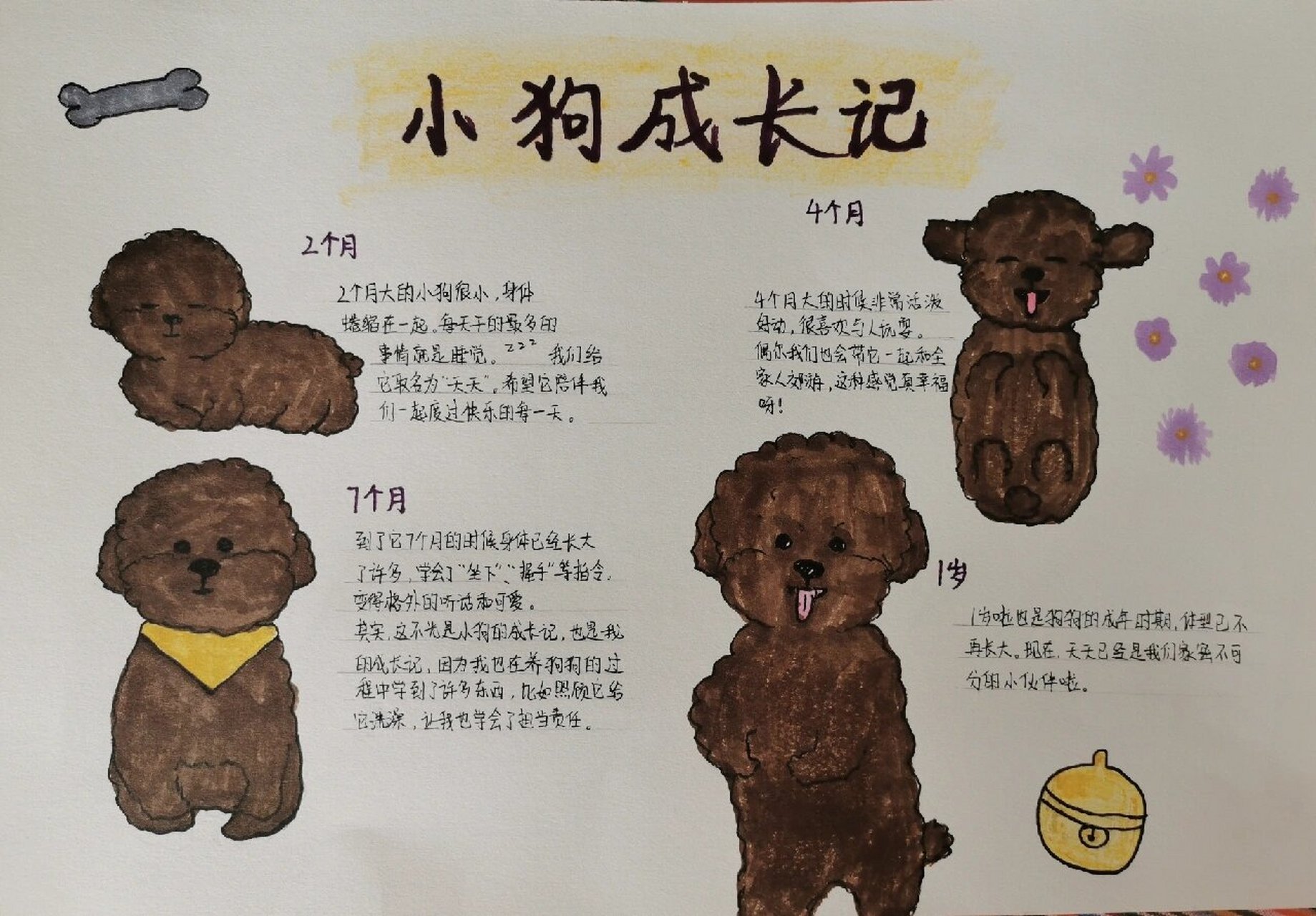 小狗成长手抄报 帮妹妹画关于成长的手抄报,画了我家狗子的,趁这个