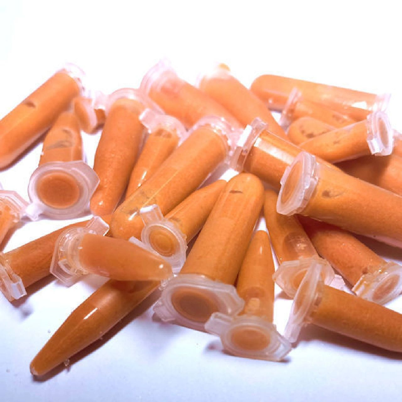 水母饲料的选择建议(上) 12月写的第一篇水母指南,本是想记录下自己的