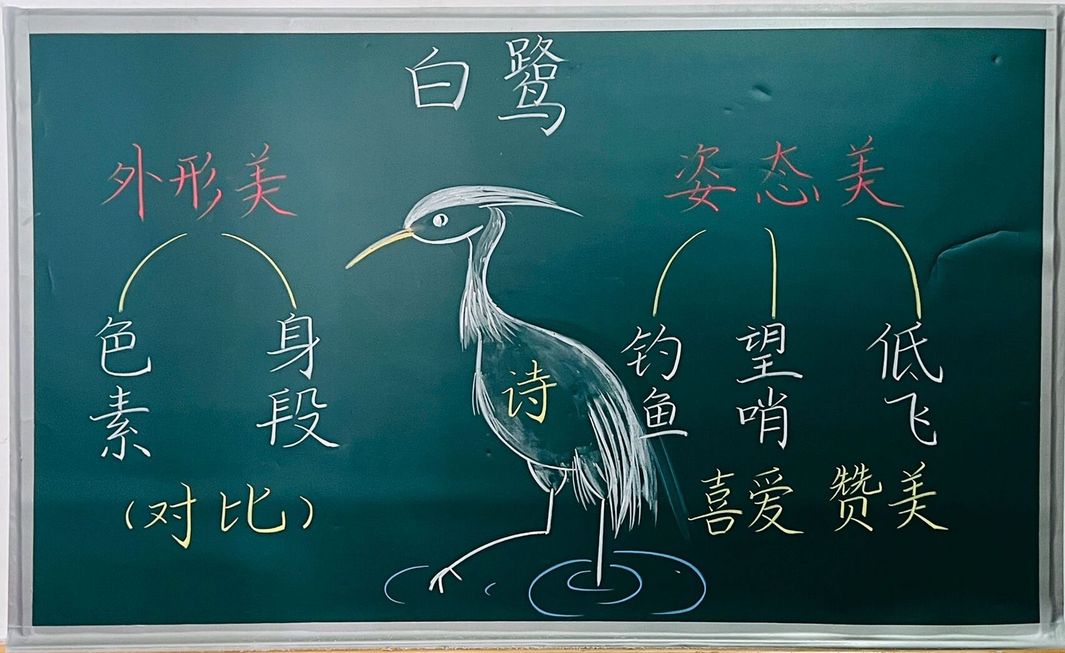 板书设计|五(上)《白鹭》 重新画了一版,以前画的那个白鹭像个胖鸡